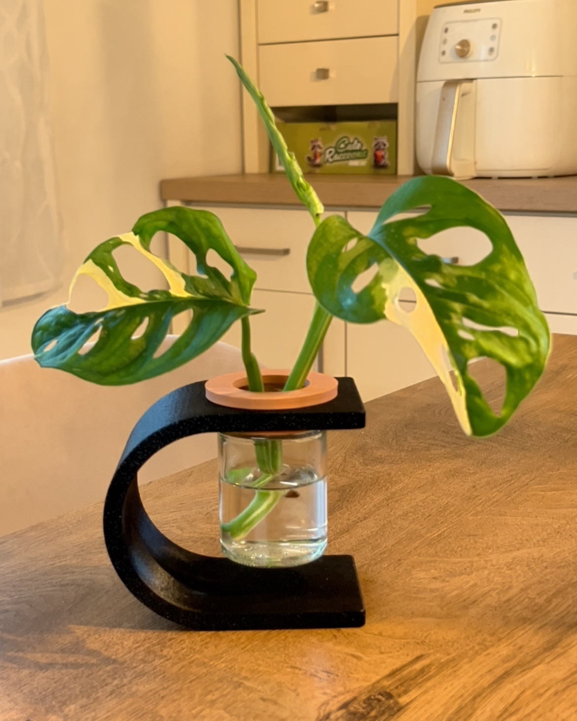 Zakořeňování ve vodě